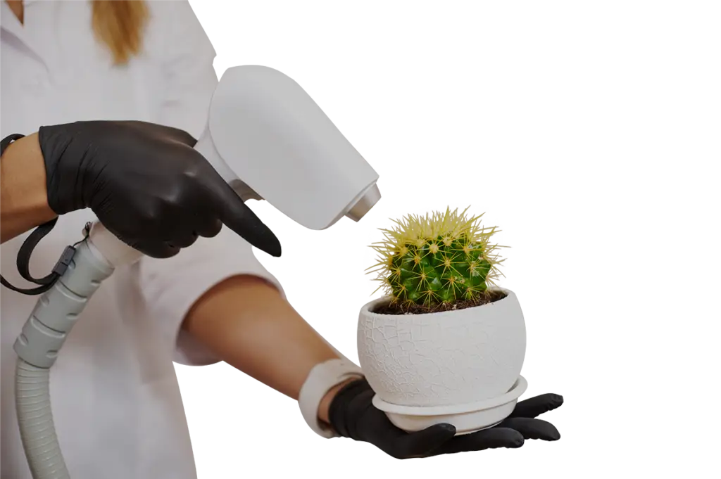 diode ontharing van cactus laser care Brugge
